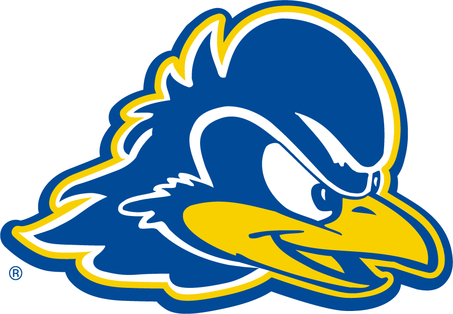 Delaware Blue Hens 2009-2018 Secondary Logo v2 t shirts iron on transfers